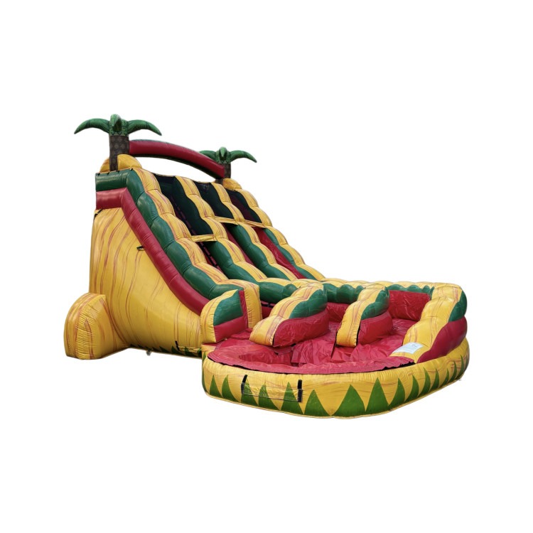 19' Fiesta Dual Lane Curved Water Slide