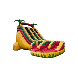 19' Fiesta Dual Lane Curved Water Slide